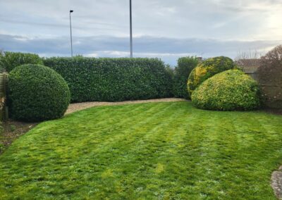 casteldine landscapes
