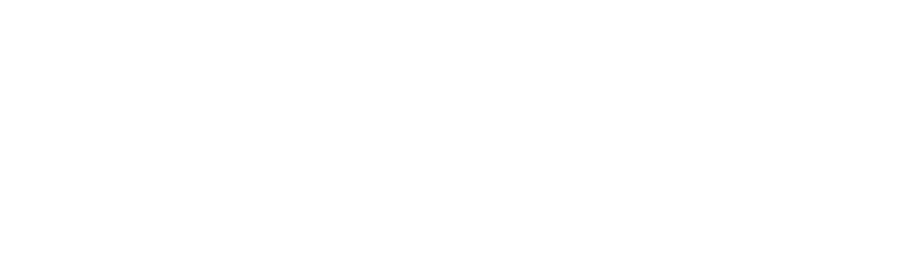 casteldine landscapes logo upscaled white